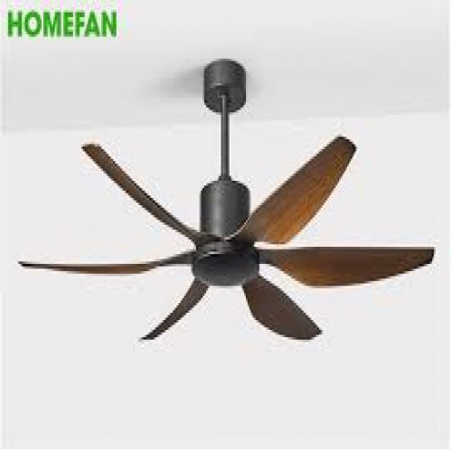 Quạt trần trang trí HomeFan HL-Fan696K