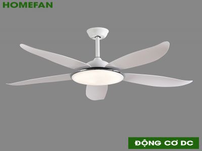 Quạt trần đèn trang trí HomeFan HL-Fan806